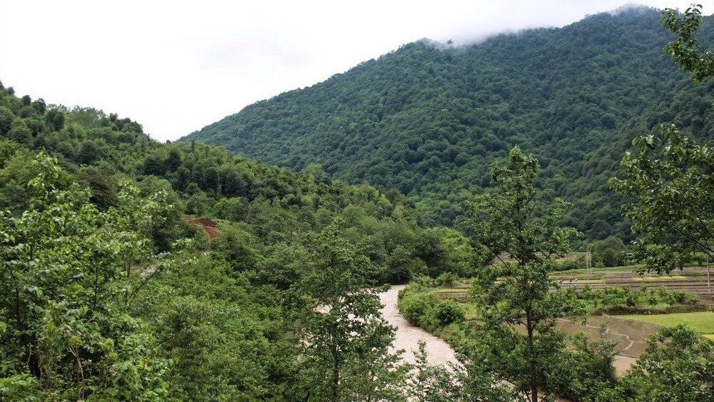Milash Residence, rent a wooden forest hut in Rahim Abad Rudsar
