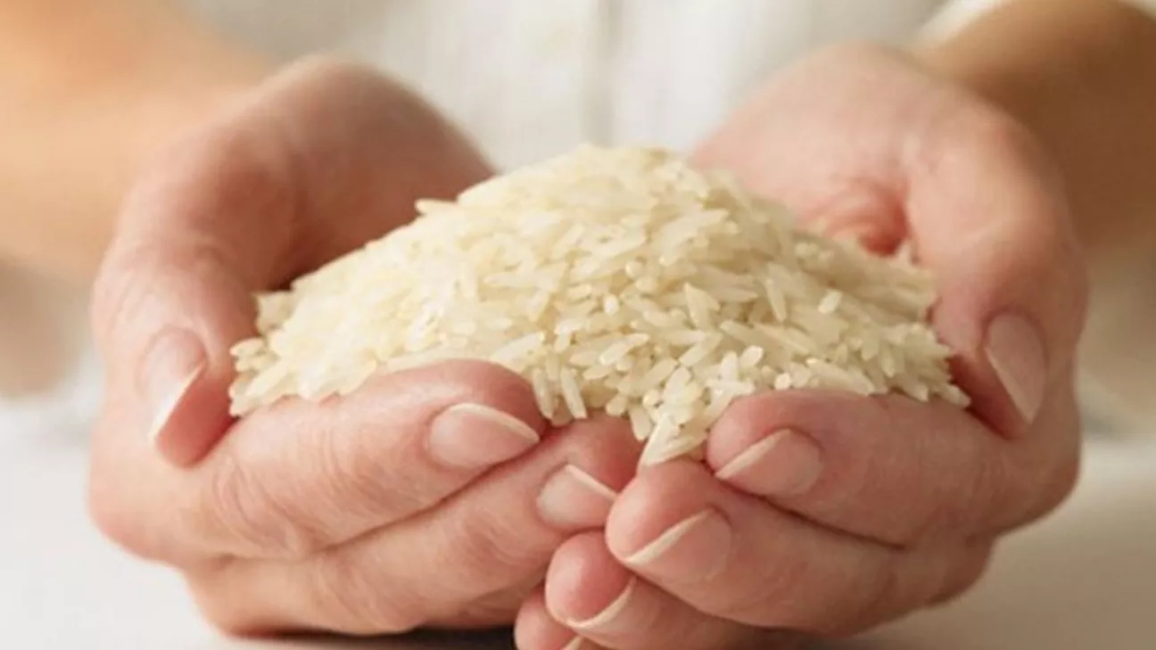 روش نگهداری برنج