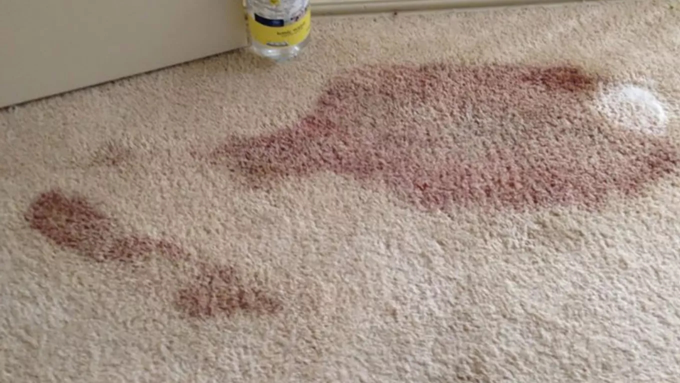 Removing old stains from the carpet