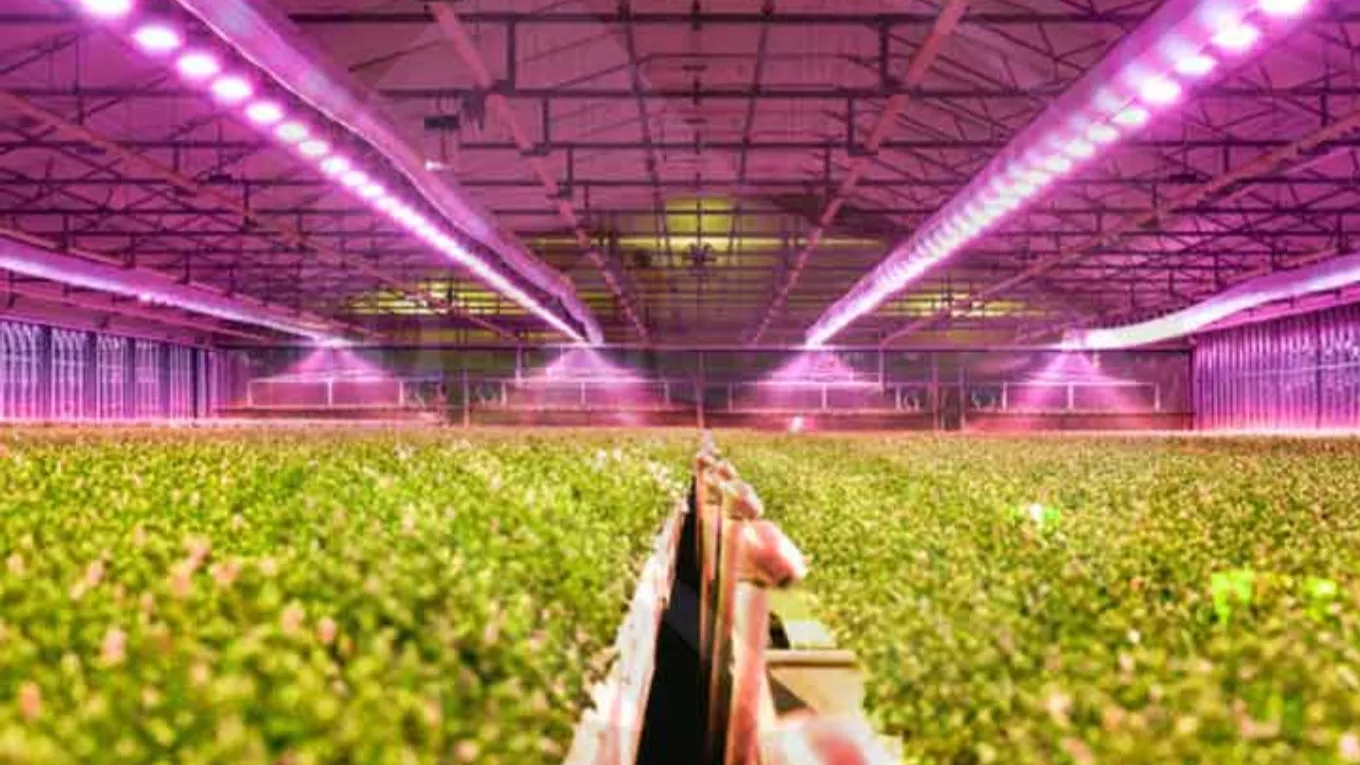 The importance of greenhouse equipment
