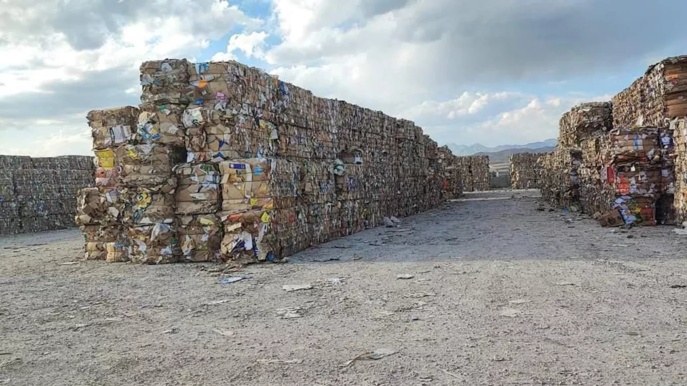 Shredding cardboard waste