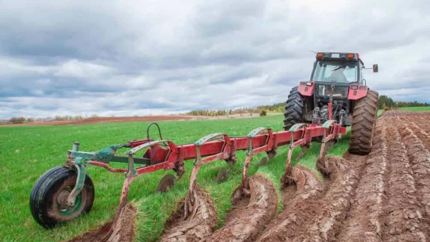 The best time to plant rice
