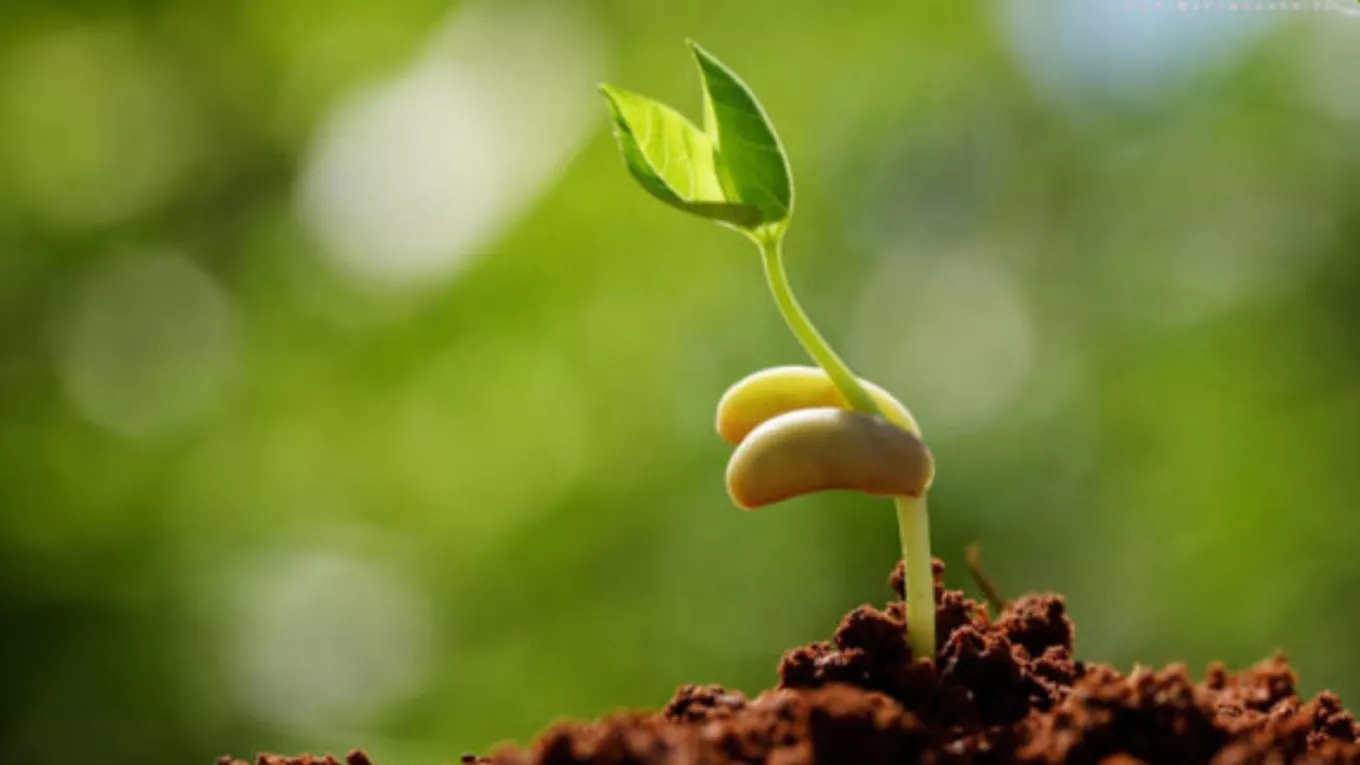 Private and general characteristics of vermicompost
