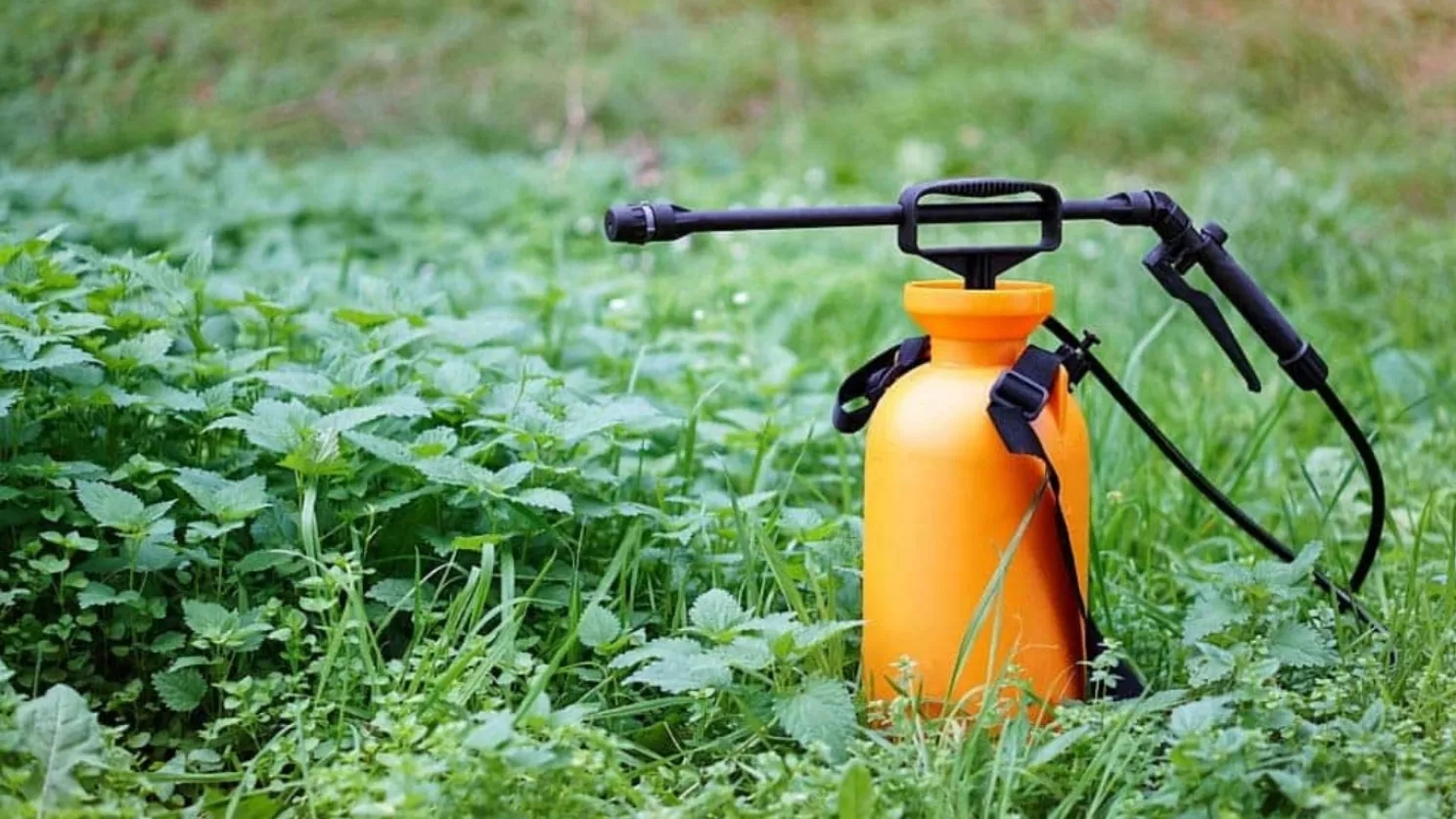 The difference between a spray pump and a car wash