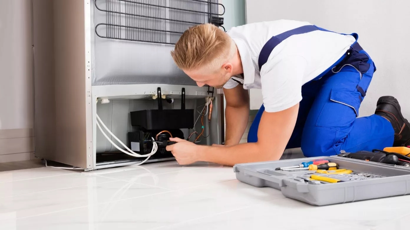 Refrigerator repairs and everything you need to know about it