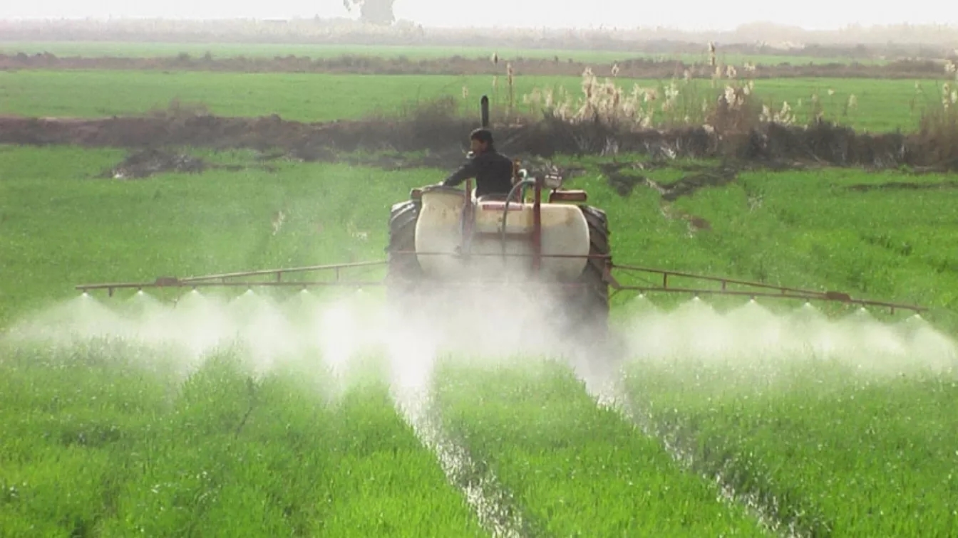 The impact of pests and poisons on the environment