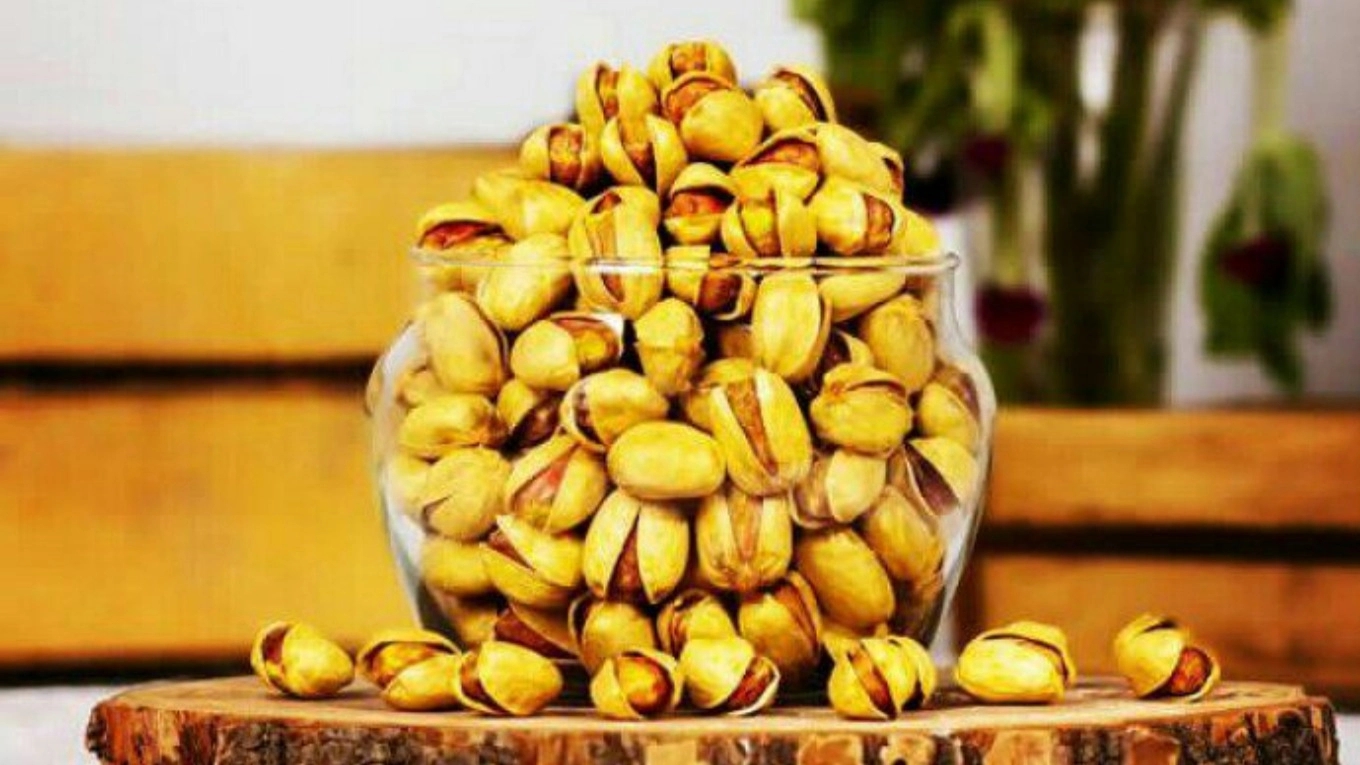 Mousavi Pistachio Brain