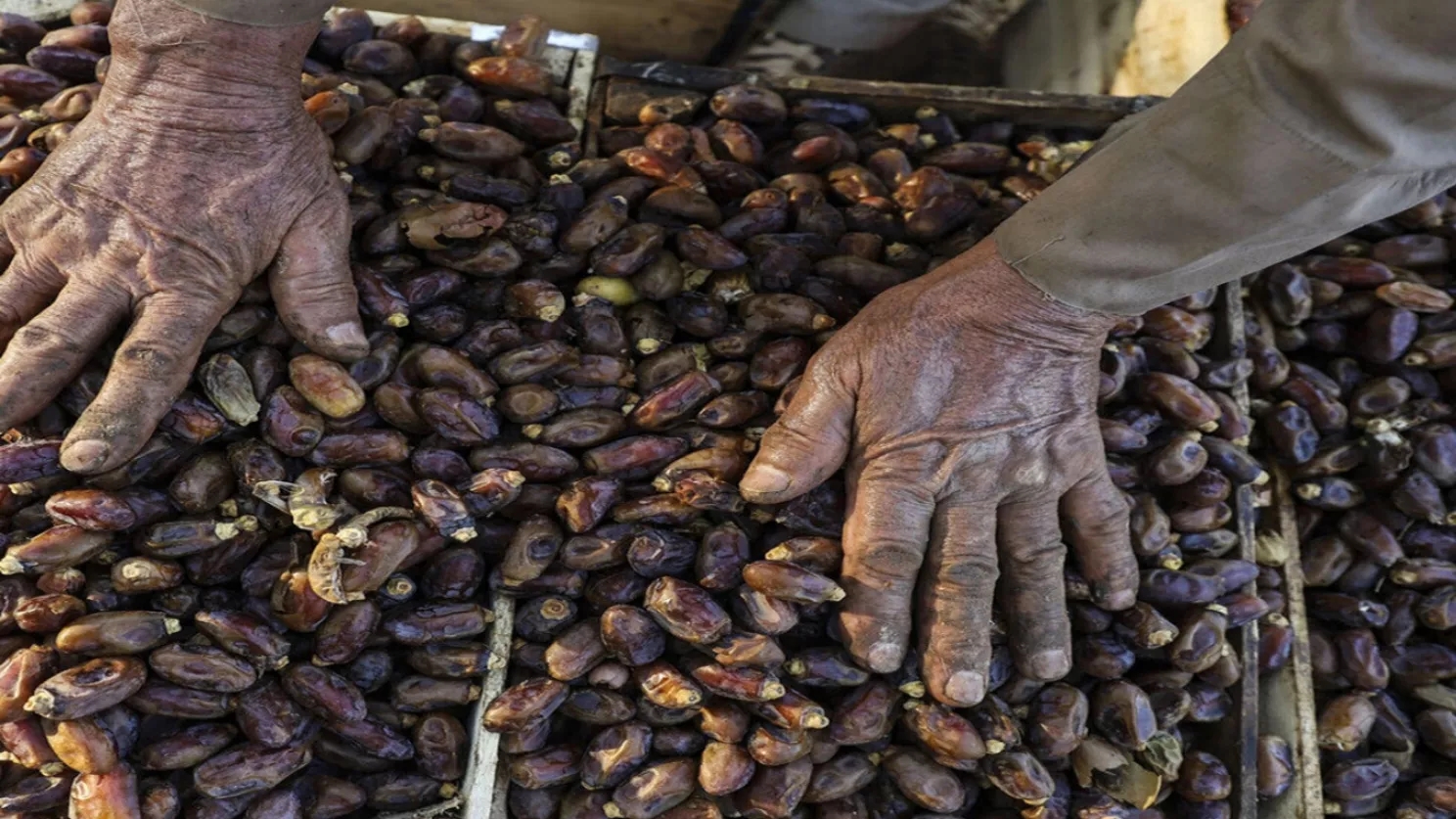 تمور خوزستان وتحديات تصديرها