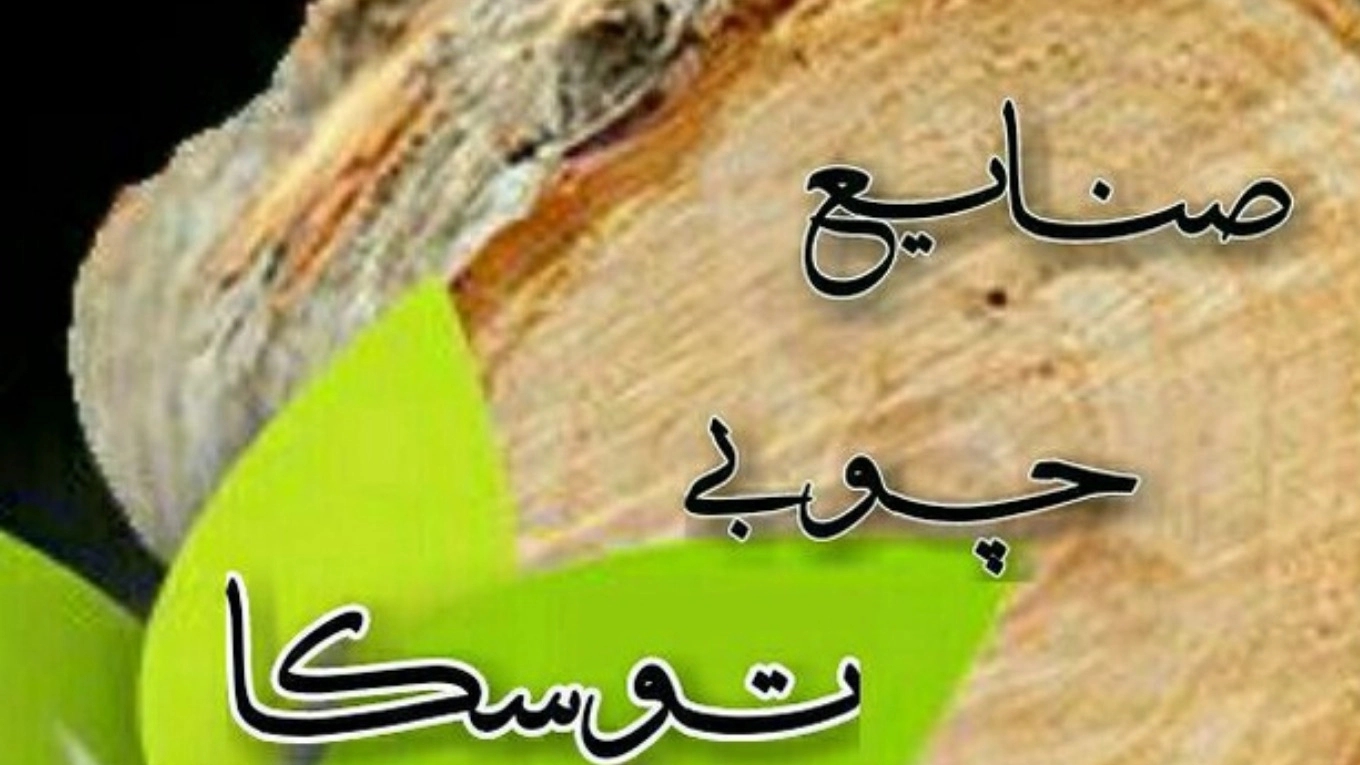 مقاطع فيديو تعريفية بمجموعتنا