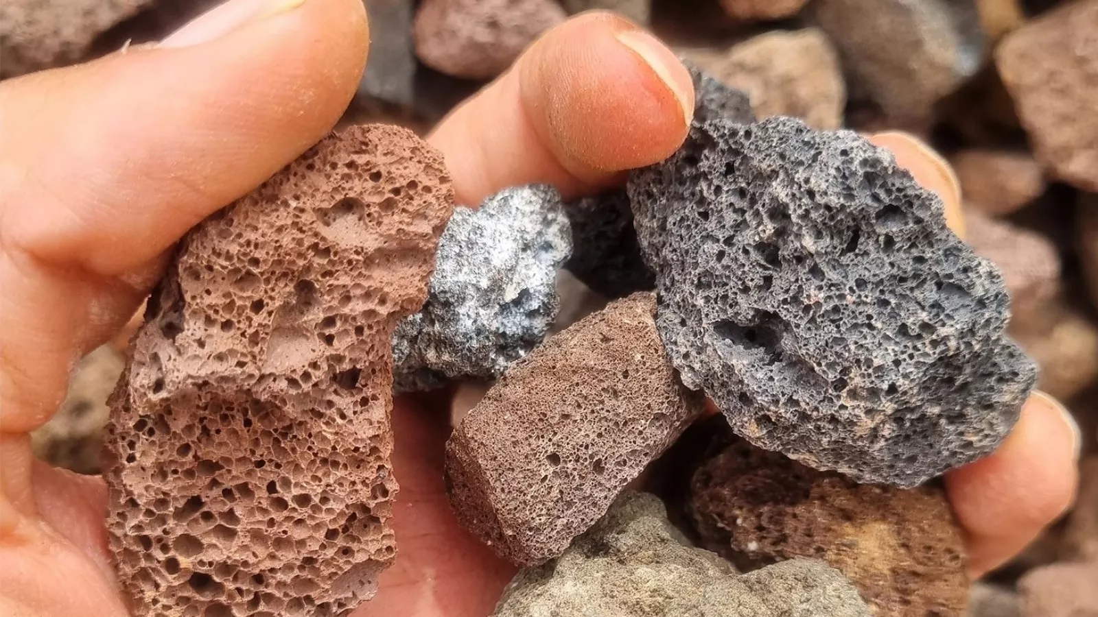 Mineral pumice from construction to agriculture