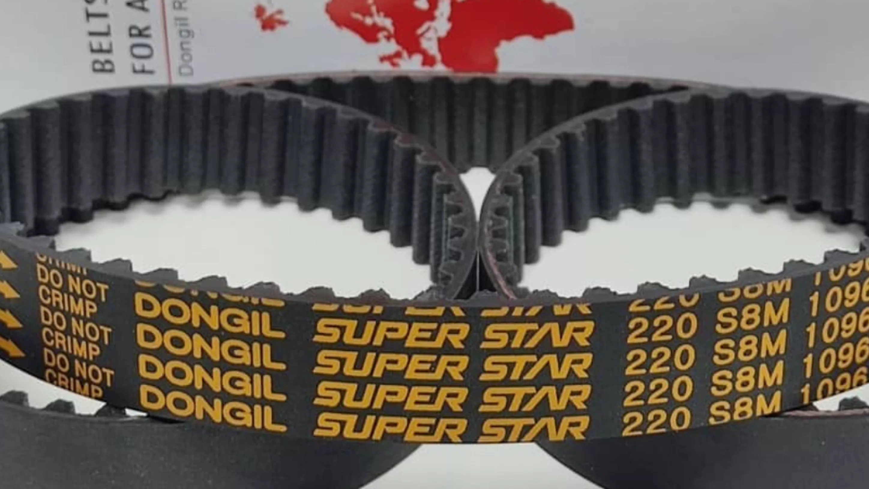 Rio Dungil timing belt