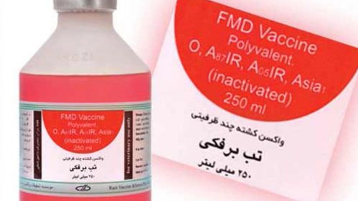 Familiarity with animal vaccines (foot and mouth vaccine)