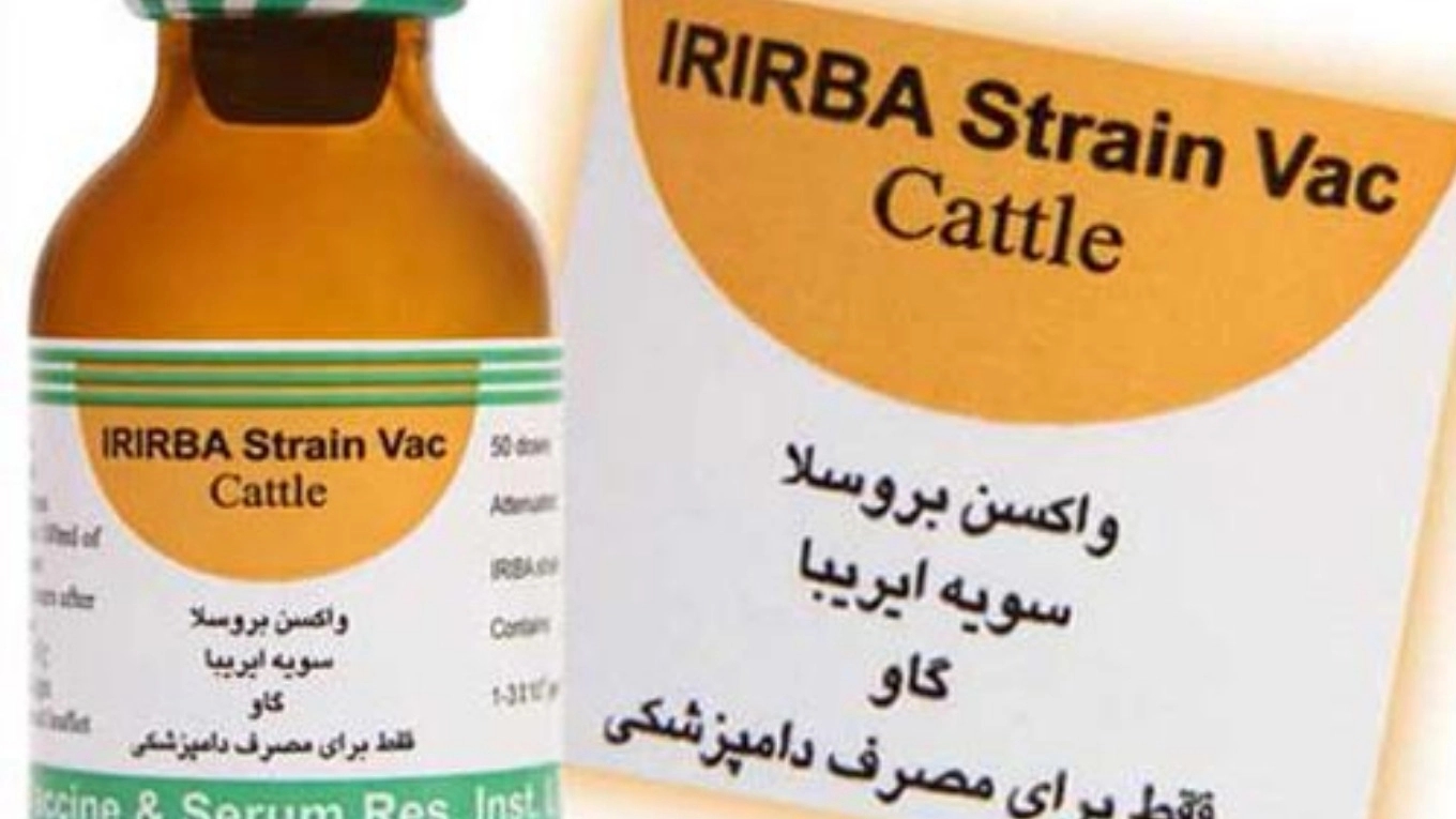 Familiarity with livestock vaccines (Iriba calf brucellosis vaccine (51 RB))