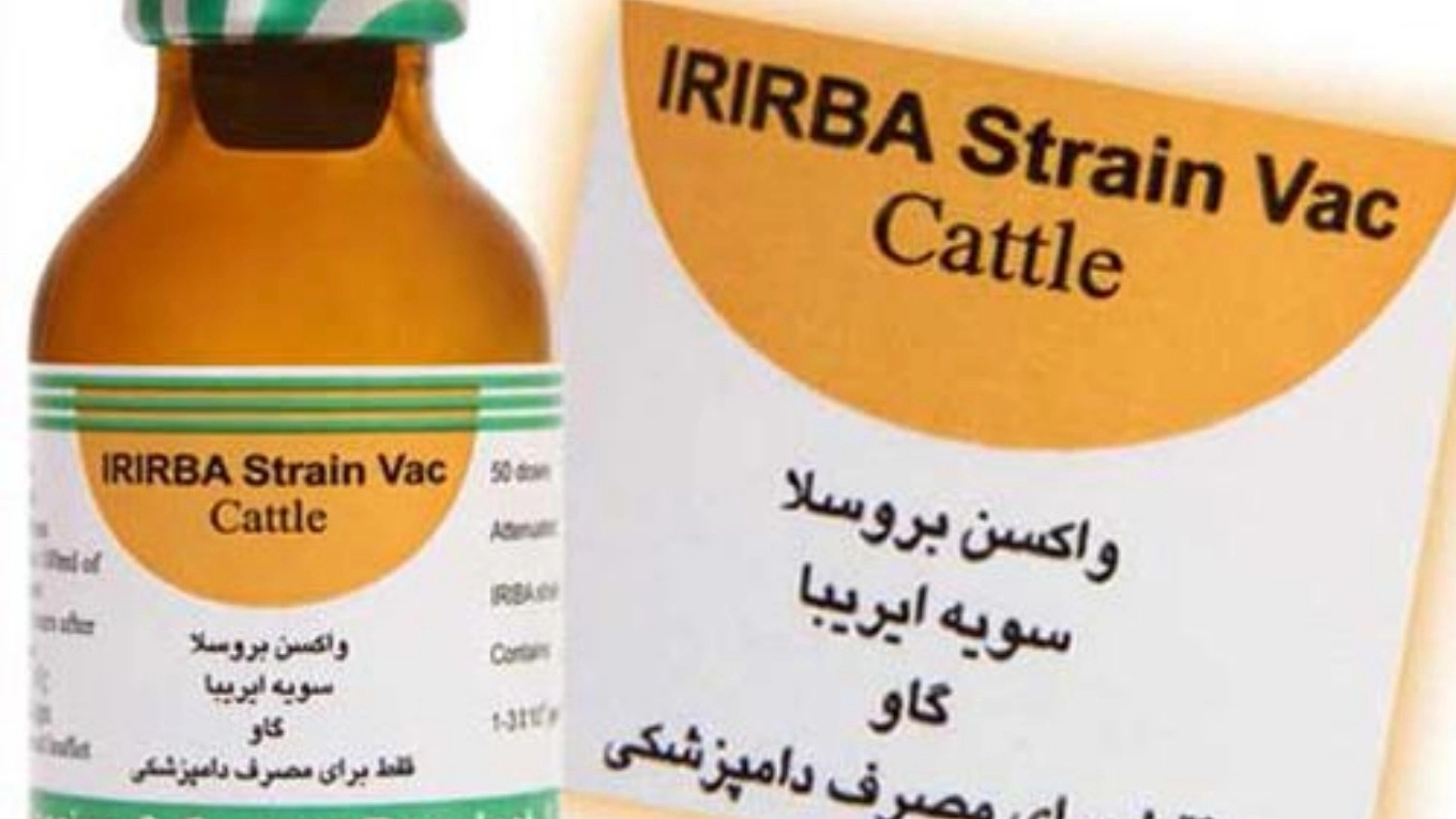 Familiarity with livestock vaccines (Iriba adult bovine brucellosis vaccine (51 RB))