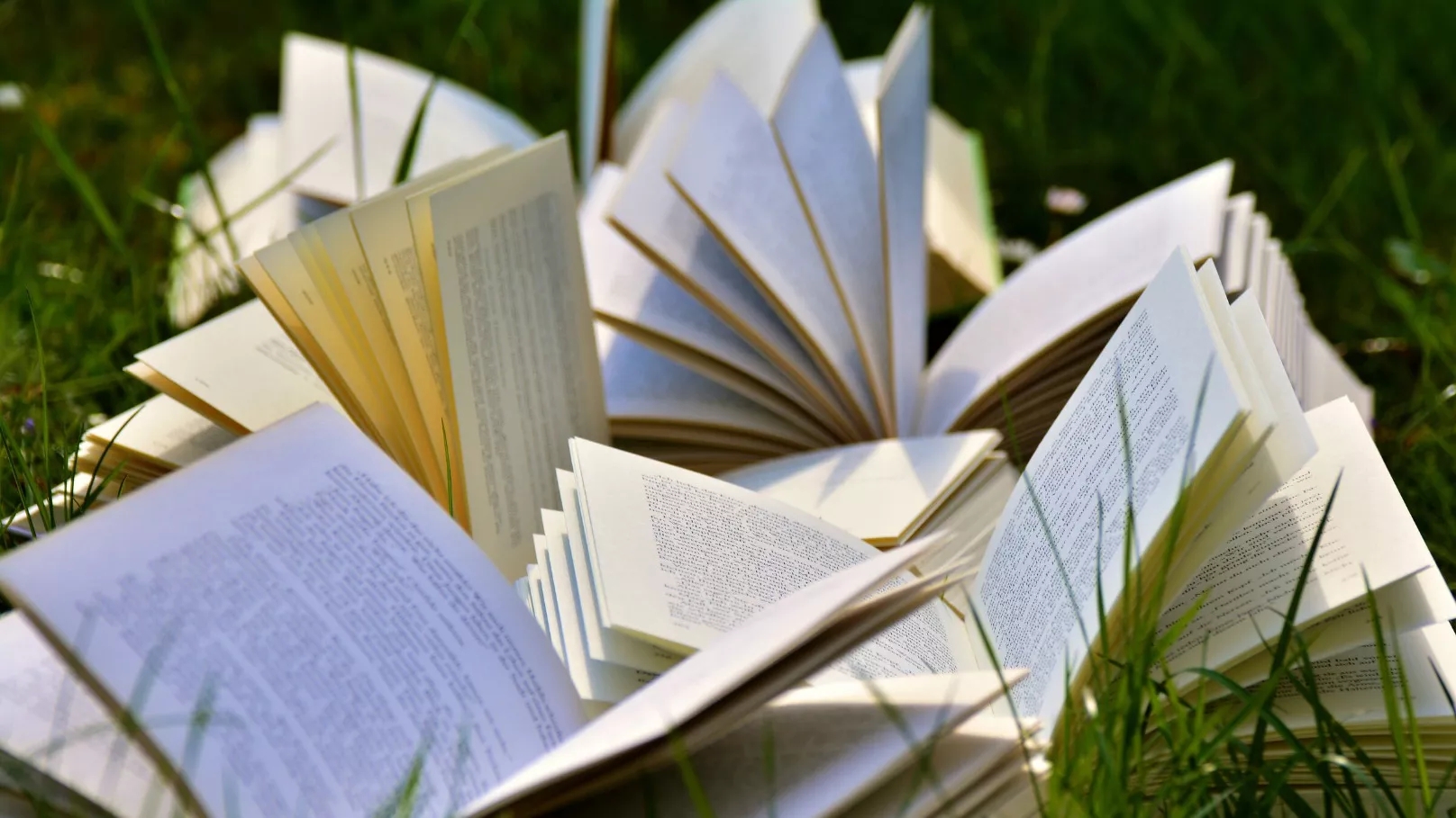 من هو مترجم الكتاب؟