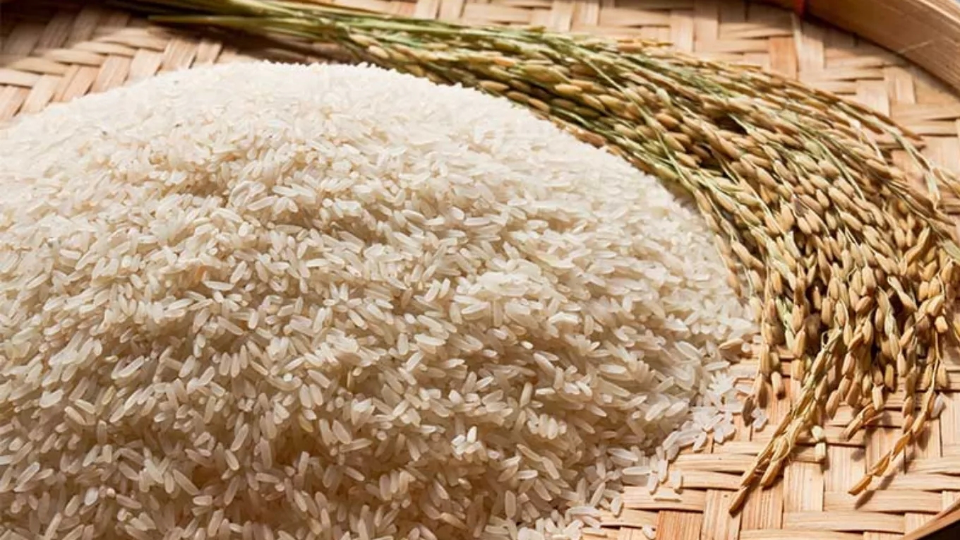 cooking rice