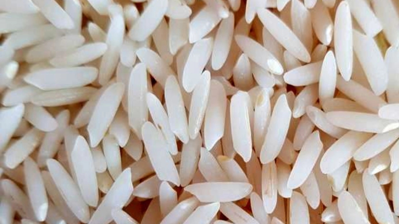 Recognition and identification of Iranian rice