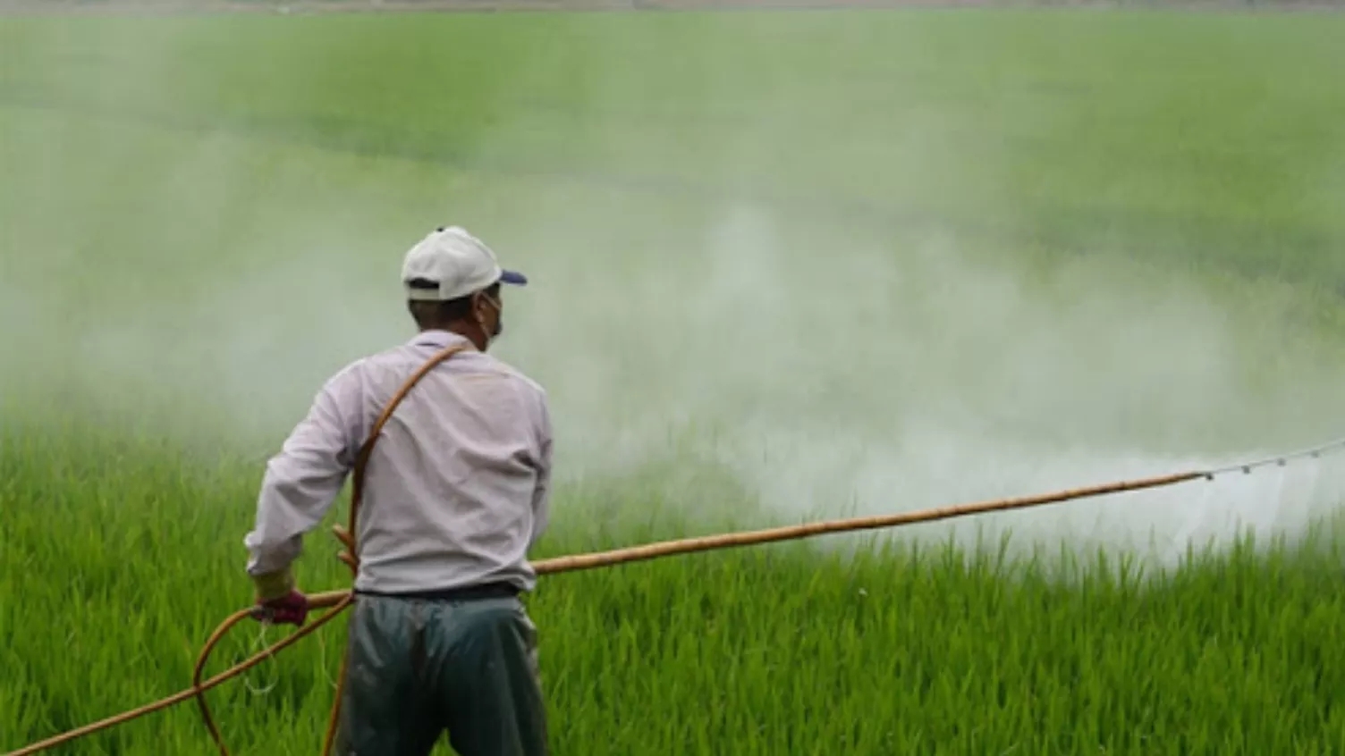 All kinds of pesticides and agricultural fertilizers