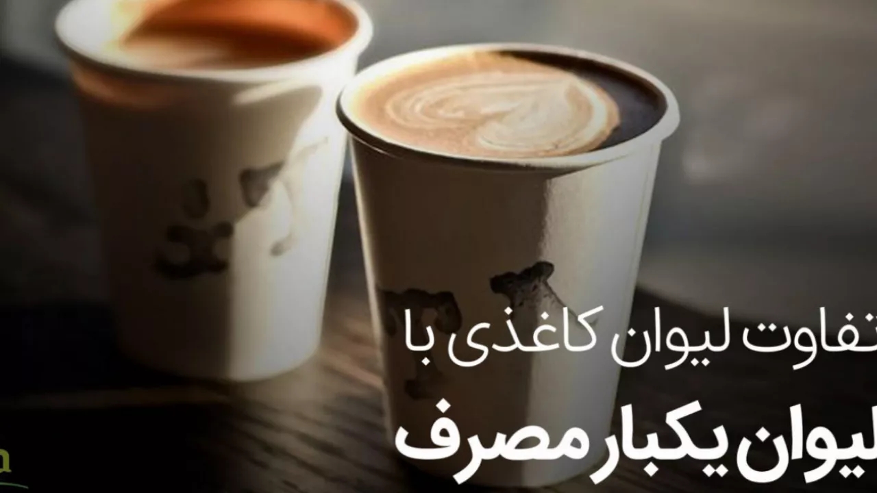What is the difference between a paper cup and a disposable cup?