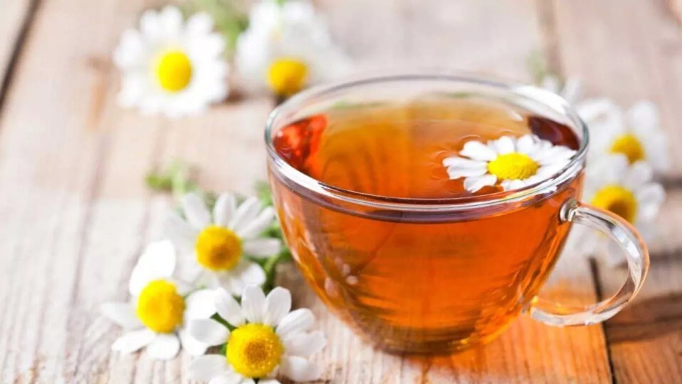 Chamomile and its components