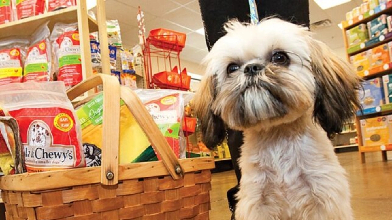 Evcil hayvan dükkanı nedir?