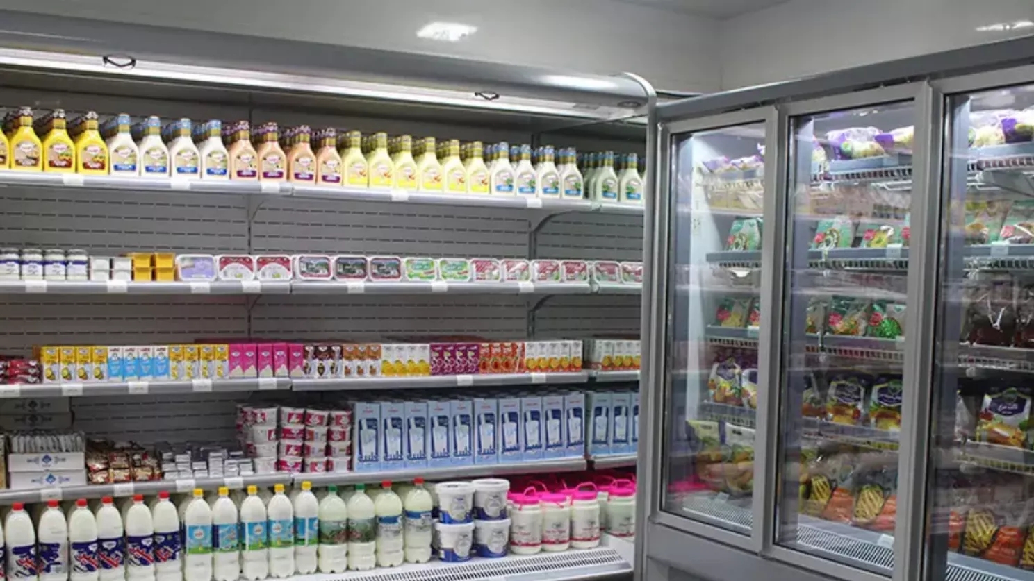 Industrial refrigerator