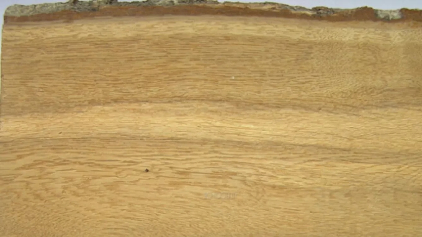 آشنایی با انواع چوب