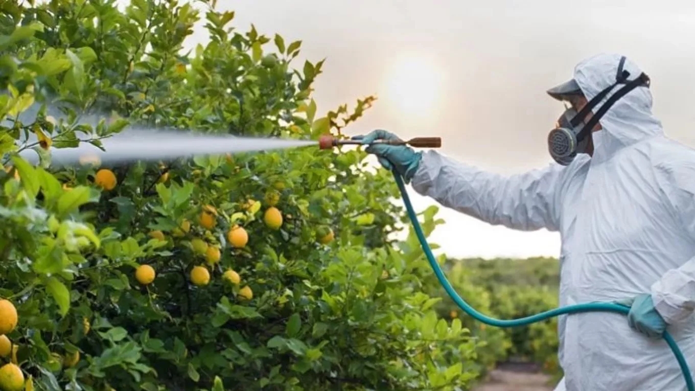 The most important points you should know about spraying agricultural products