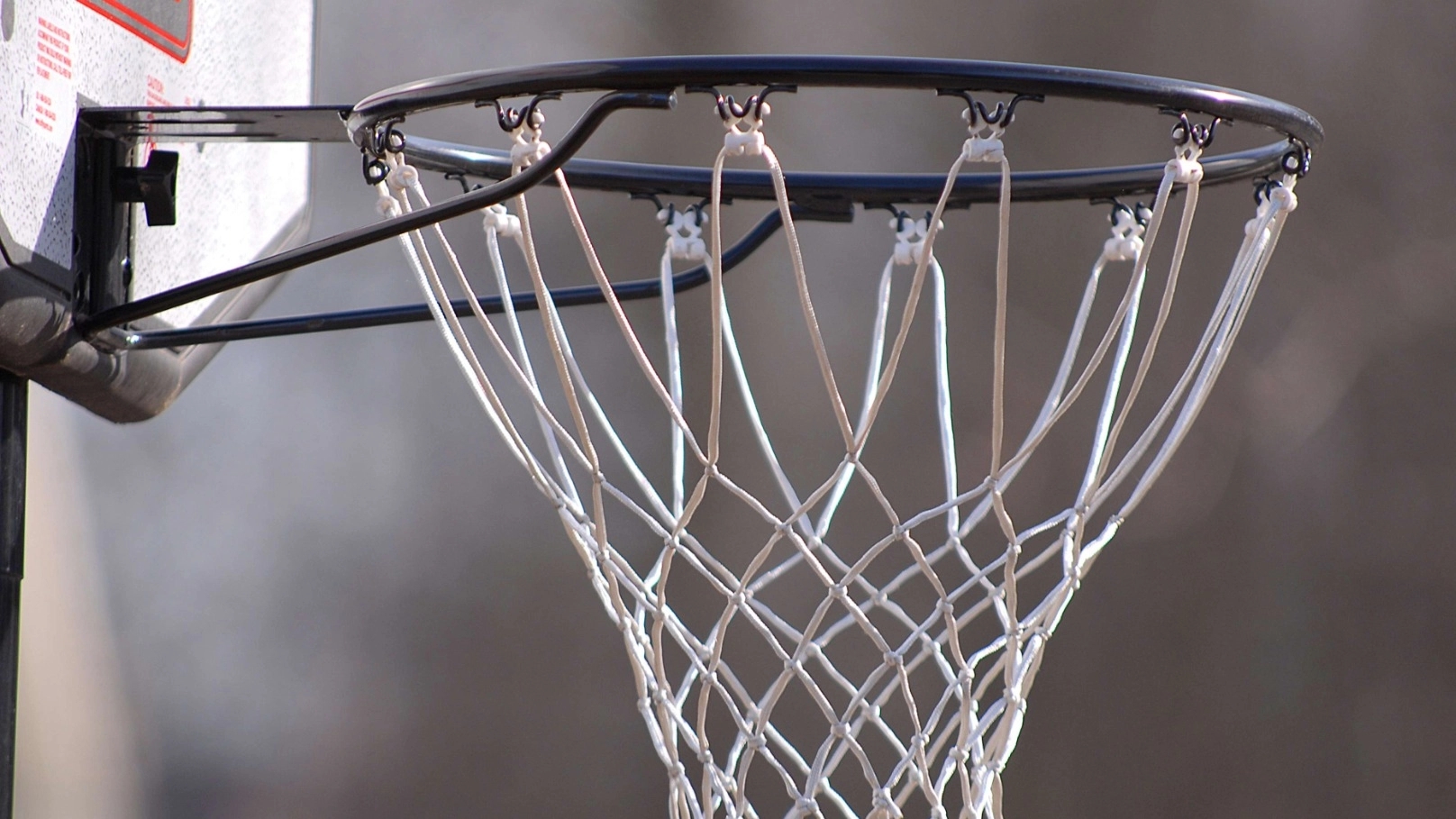 Guide to buying professional basketball hoops and nets