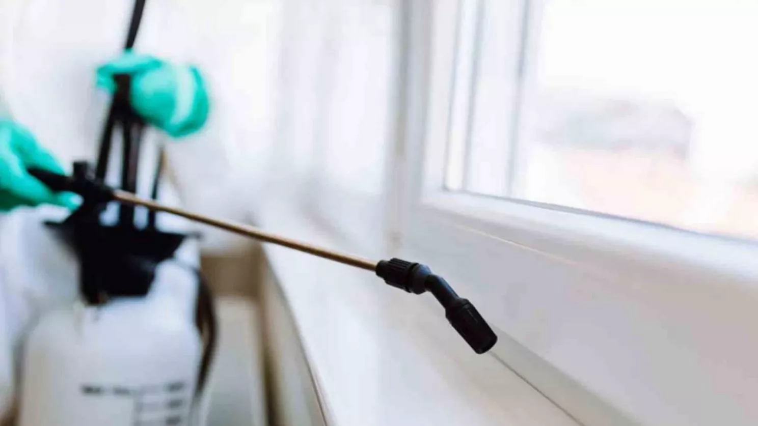 Types of ways and methods of spraying houses