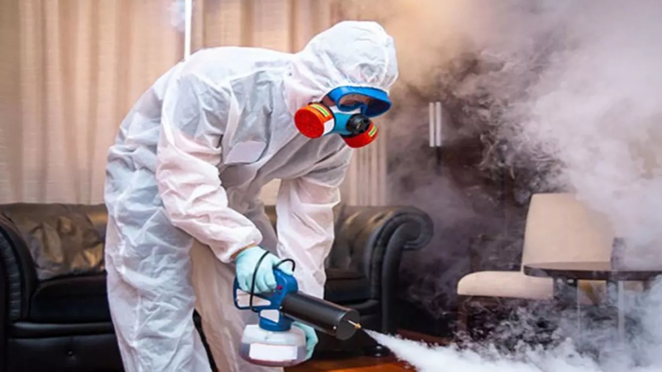 How to spray the apartment and the tips we should know