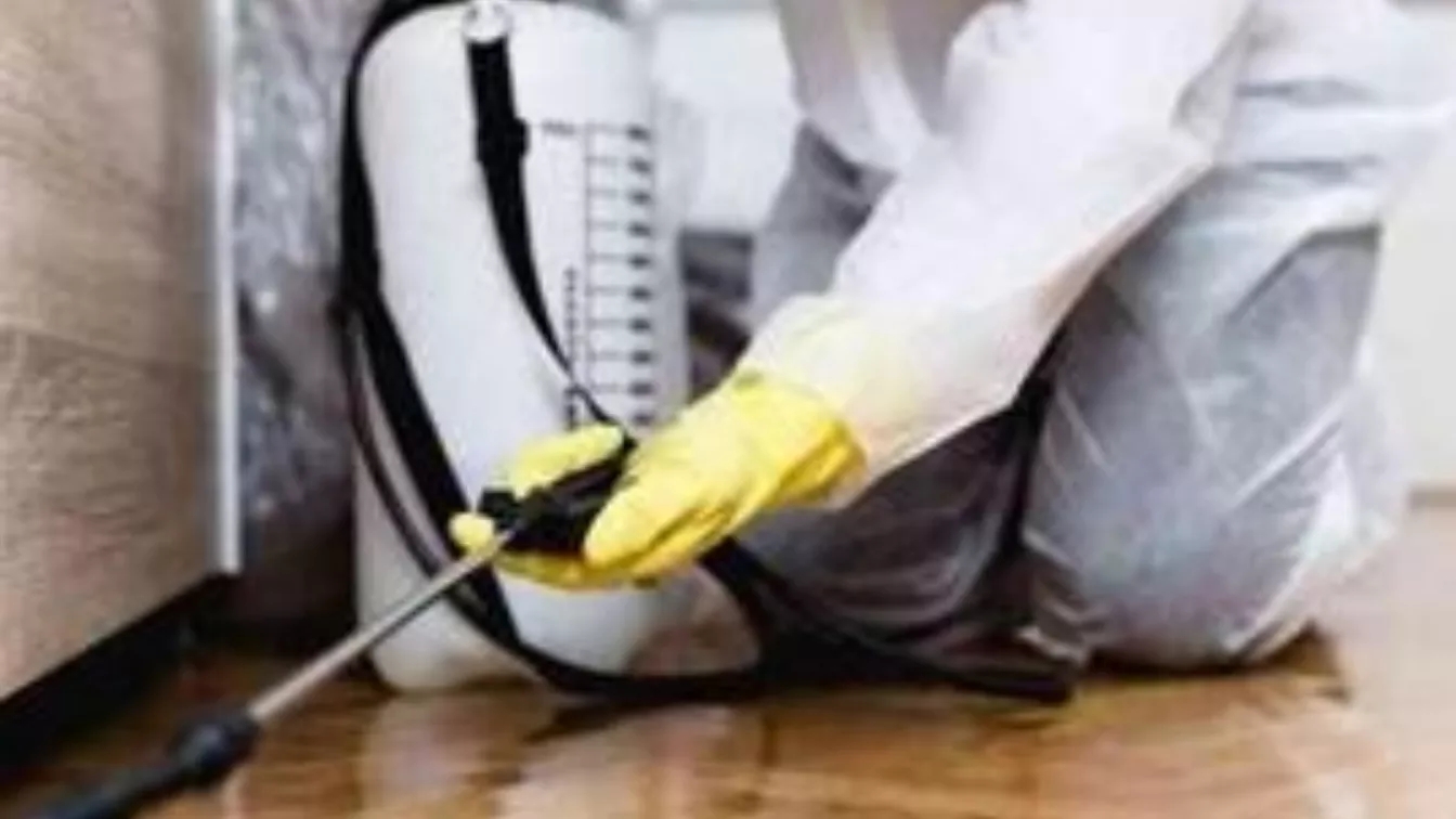 The most important tips for spraying houses