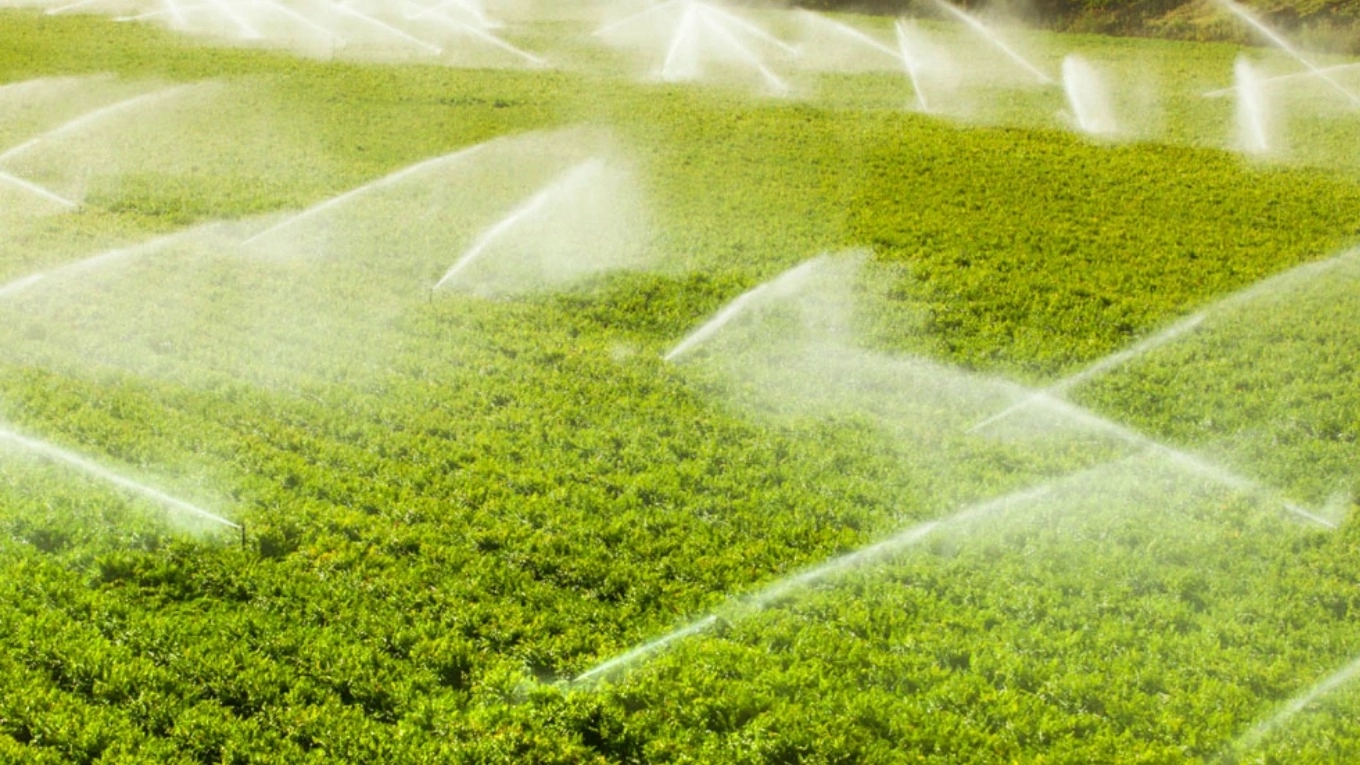 Rain drip irrigation