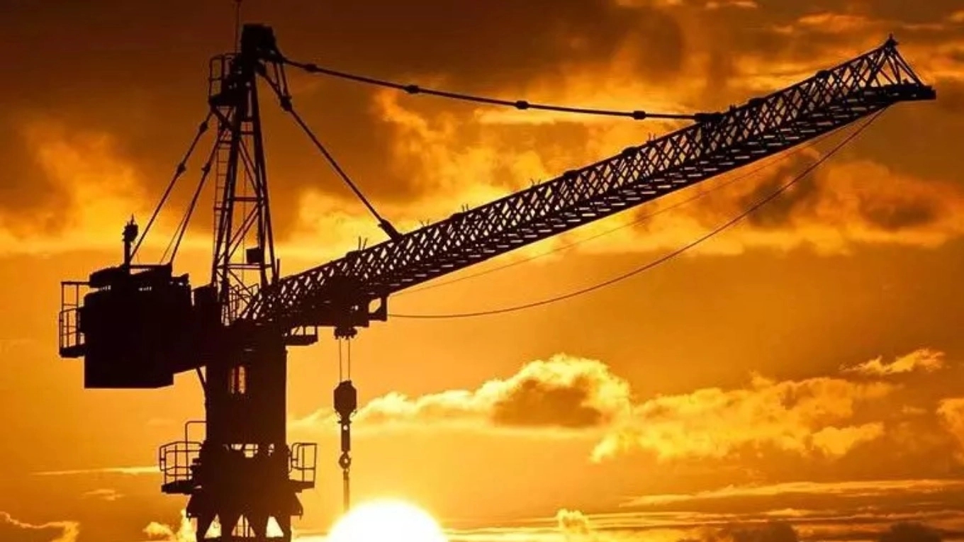 What is a tower crane and workshop elevator?