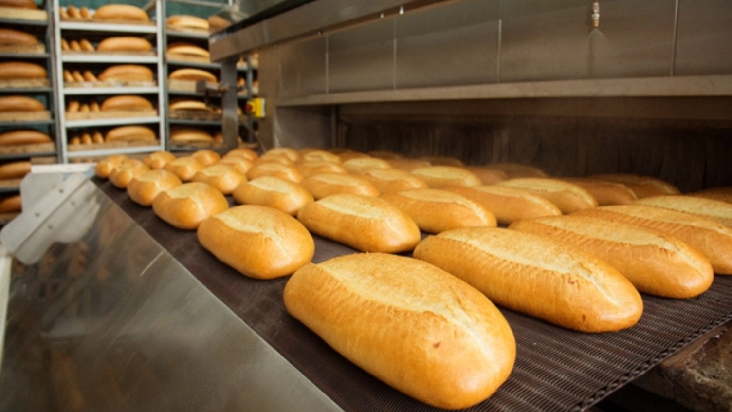Familiarity with all types of bakery machines