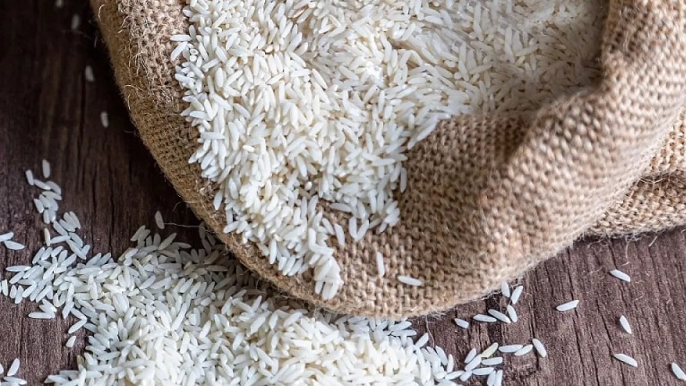 Getting to know the types of Iranian rice