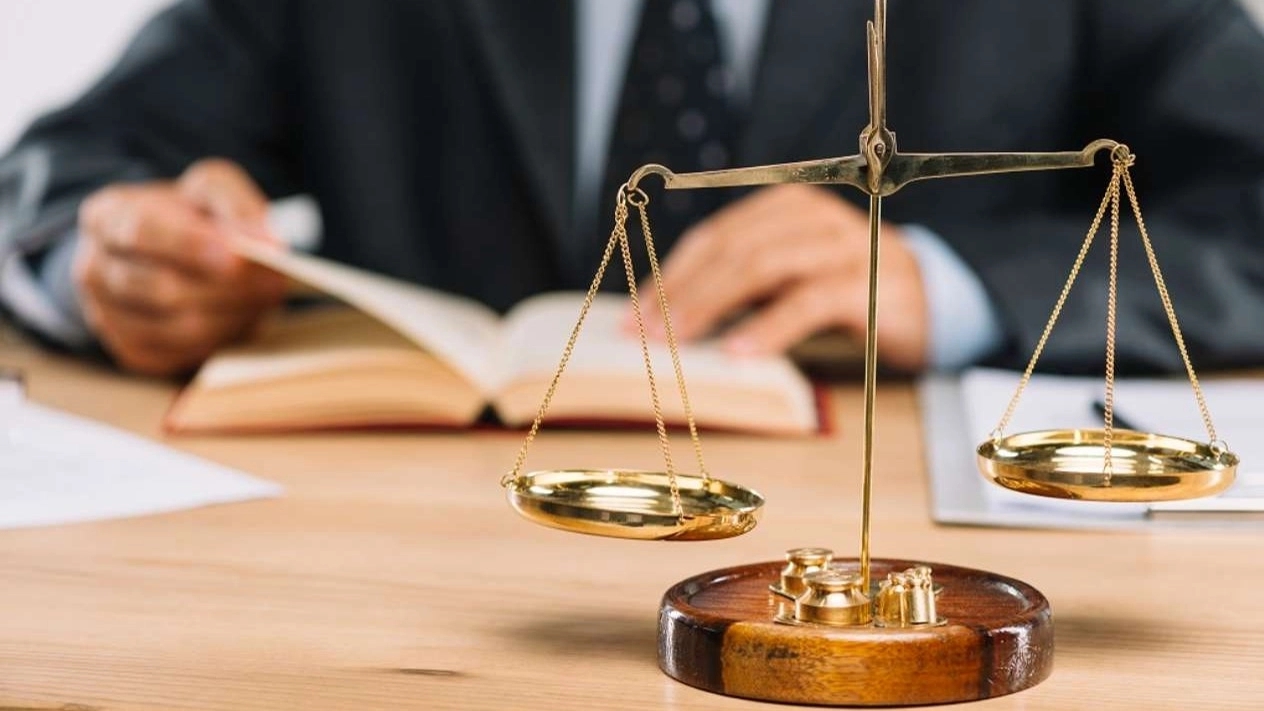 Characteristics of a professional lawyer in legal affairs