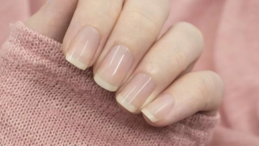 Introduction of nail liquid, primer and antifungal