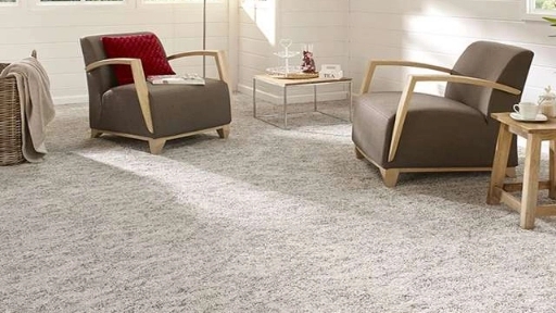 Everything about carpet and its types