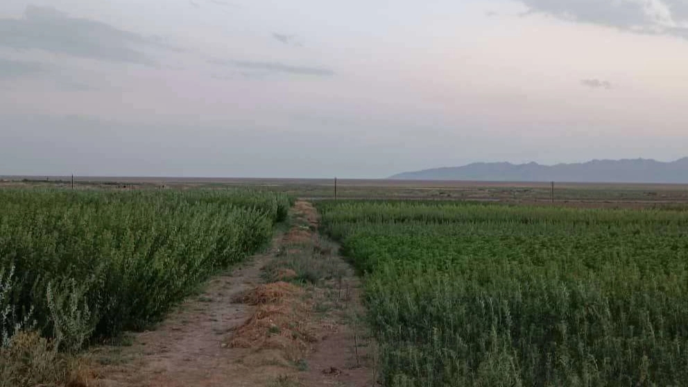 Heidaran nursery videos