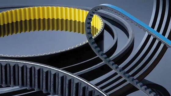 How to identify the best belt?