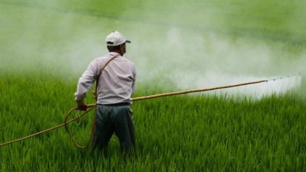 All kinds of pesticides and agricultural fertilizers