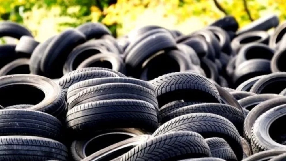 What do you know about the rubber industry?