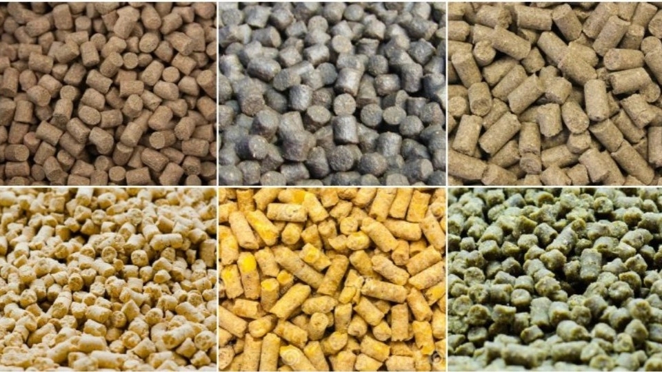 Ingredients of all kinds of animal concentrates
