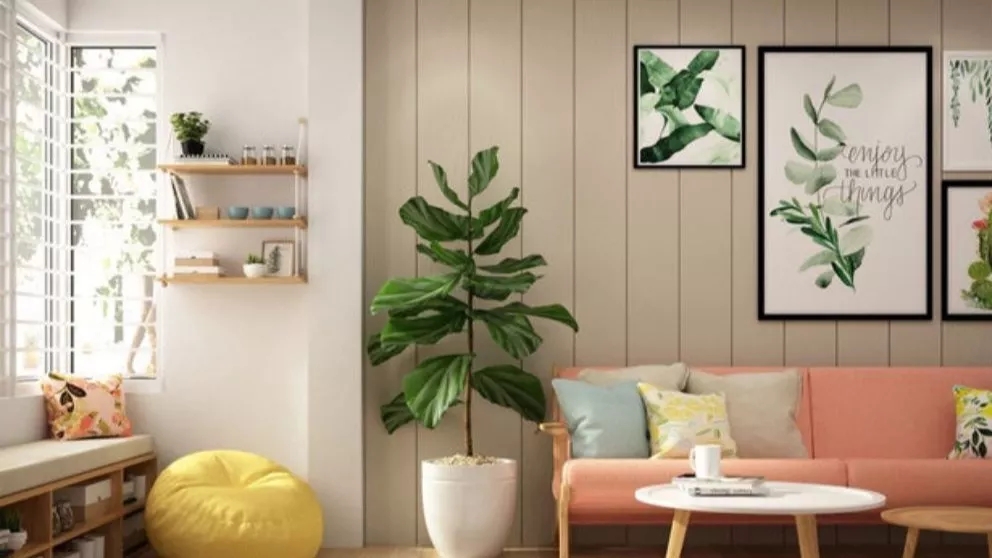 Advantages of using interior decoration design