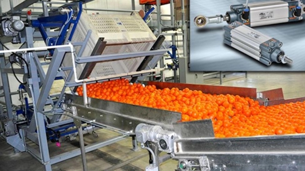 Food industry machinery
