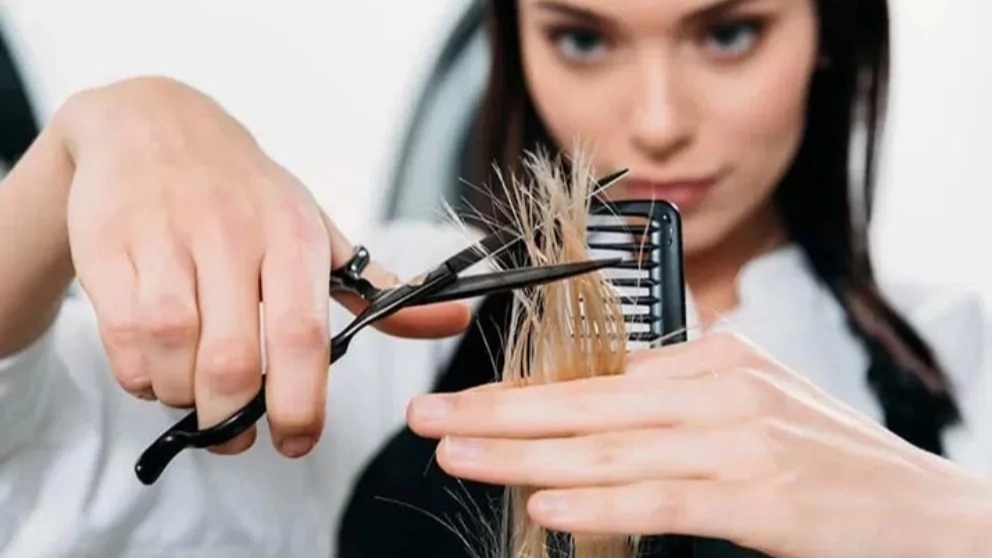Where should I start for a hairdressing job?