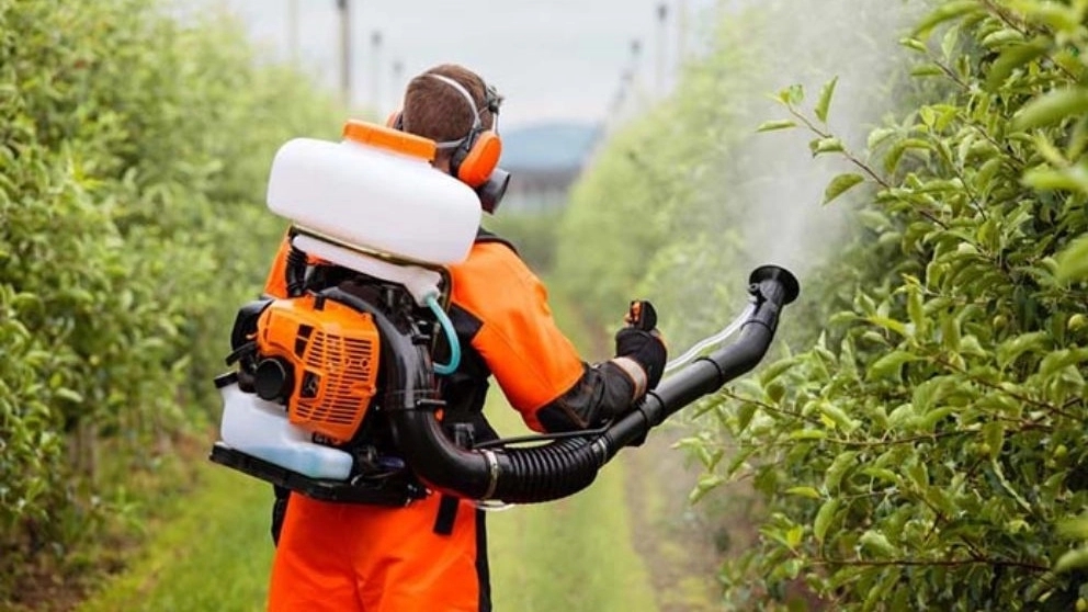Types of sprayers