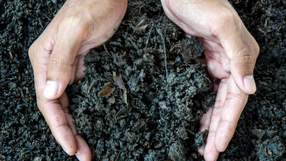 What is rotten animal manure?