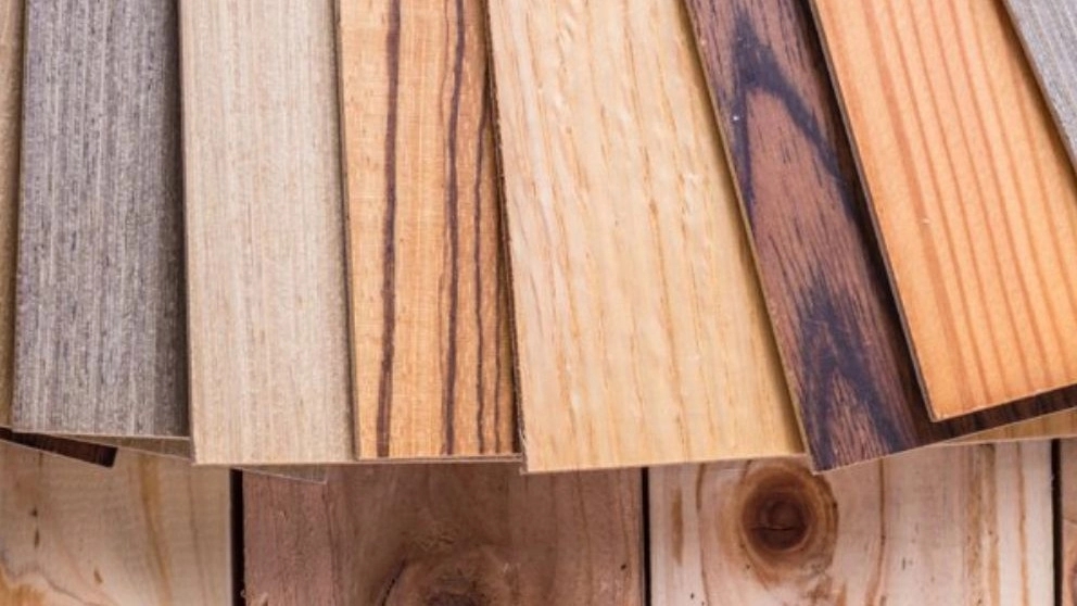 Types of wood used in the furniture industry